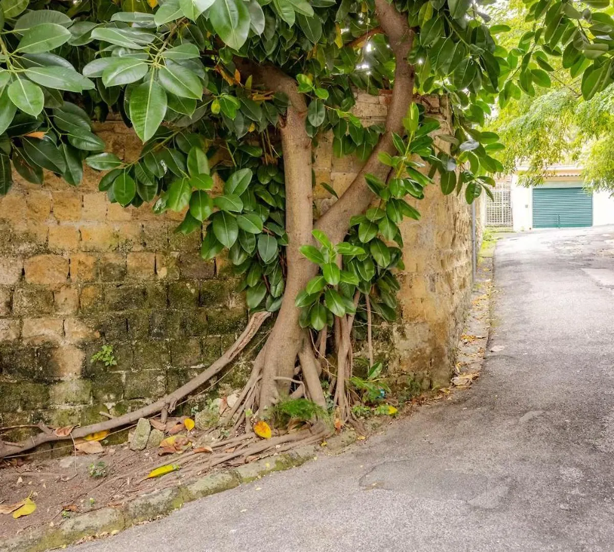 Crispi 74.1 - Apartment Naples Italy